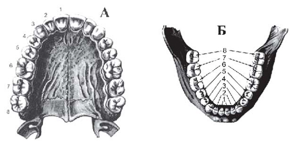 Задачи По Криминалистике С Ответами В Картинках – Telegraph