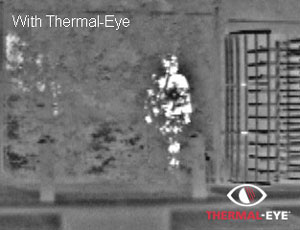     "Thermal-EYE 4000(M)"