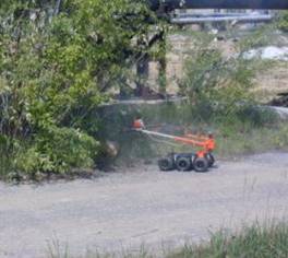 ����������� ��������, ������������ ��